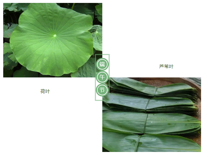uwin电竞医纺